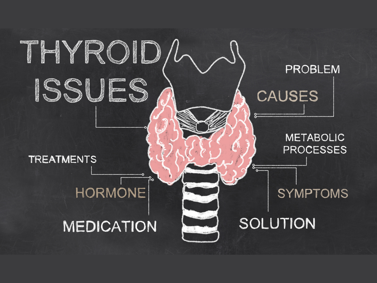Thyroid Levels