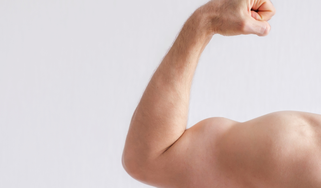 Testosterone Therapy Improve Muscle